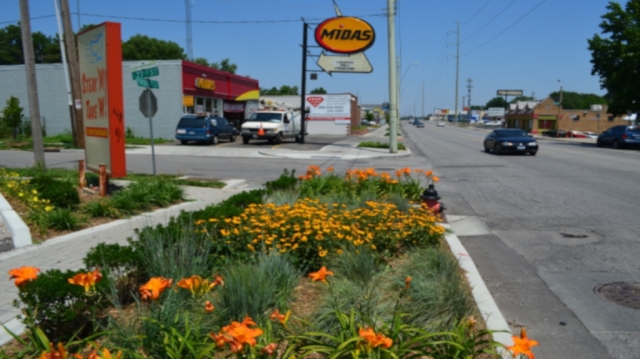 MBRB Troost orange flower